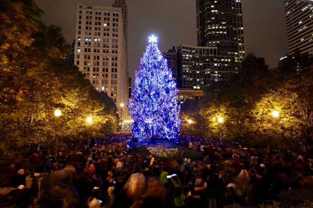 Tree Lighting The Magnificent Mile