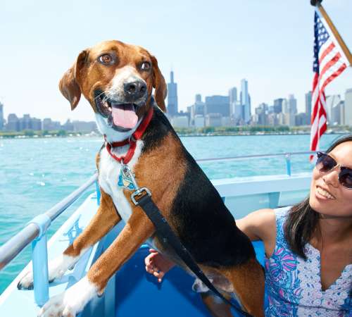 Mutts on the Mile 3 Canine Cruise Courtesy of Chicagos First Lady and Mercury Cruises