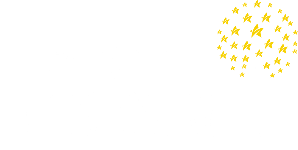 Lights Festival Logo No Title Sponsor WHITE