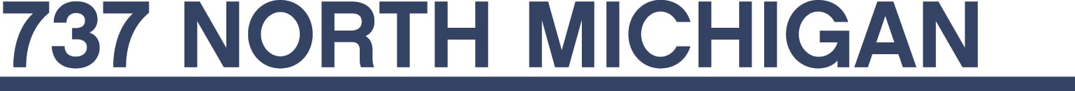 737N_michigan_logo_midnight